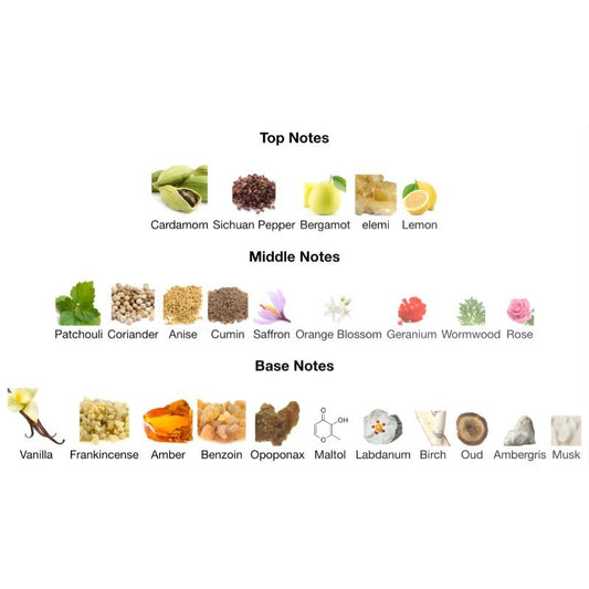 Rayhaan TERRA - WHIFF CULTURE