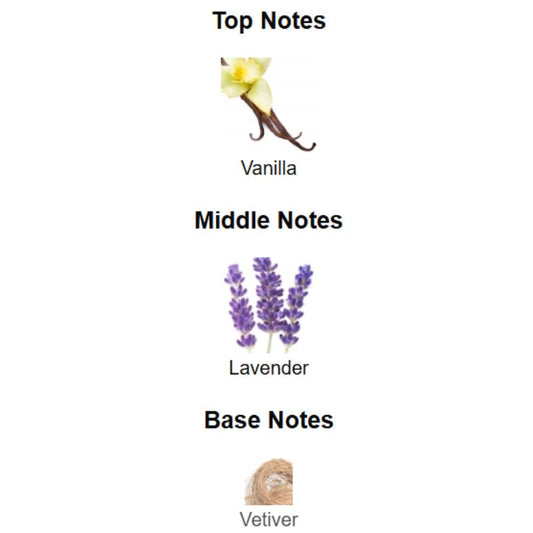 Valentino UOMO BORN IN ROMA INTENSE