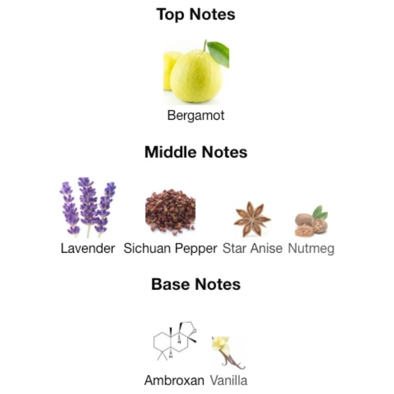 Maison Alhambra SALVO EDP