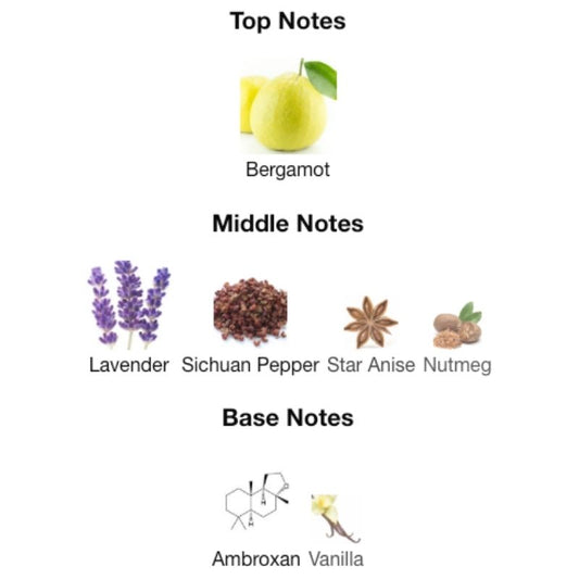 Maison Alhambra SALVO EDP