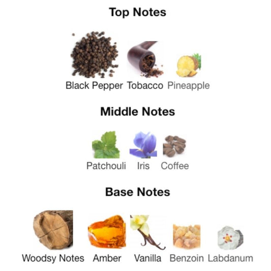 Maison Alhambra SALVO ELIXIR