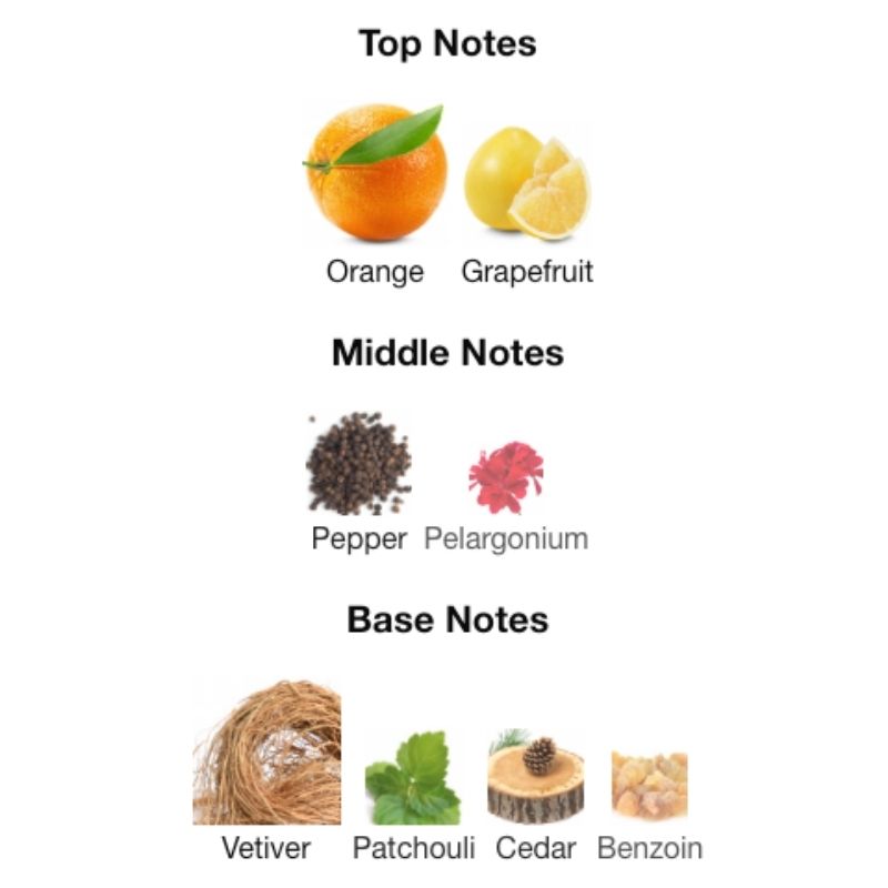 Maison Alhambra TORO POUR HOMME