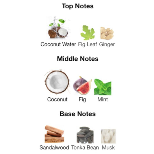 Rasasi HAWAS TROPICAL