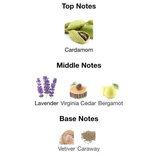 YSL LA NUIT DE L’HOMME - WHIFF CULTURE