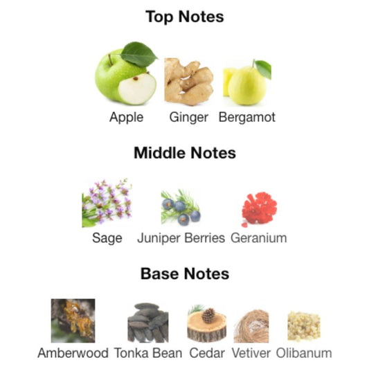 Albait Aldimashqi YSL Y