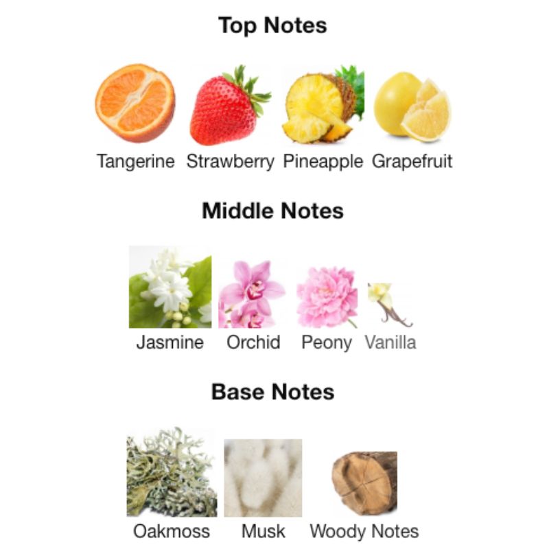 Ahmed Al Maghribi ZELENY