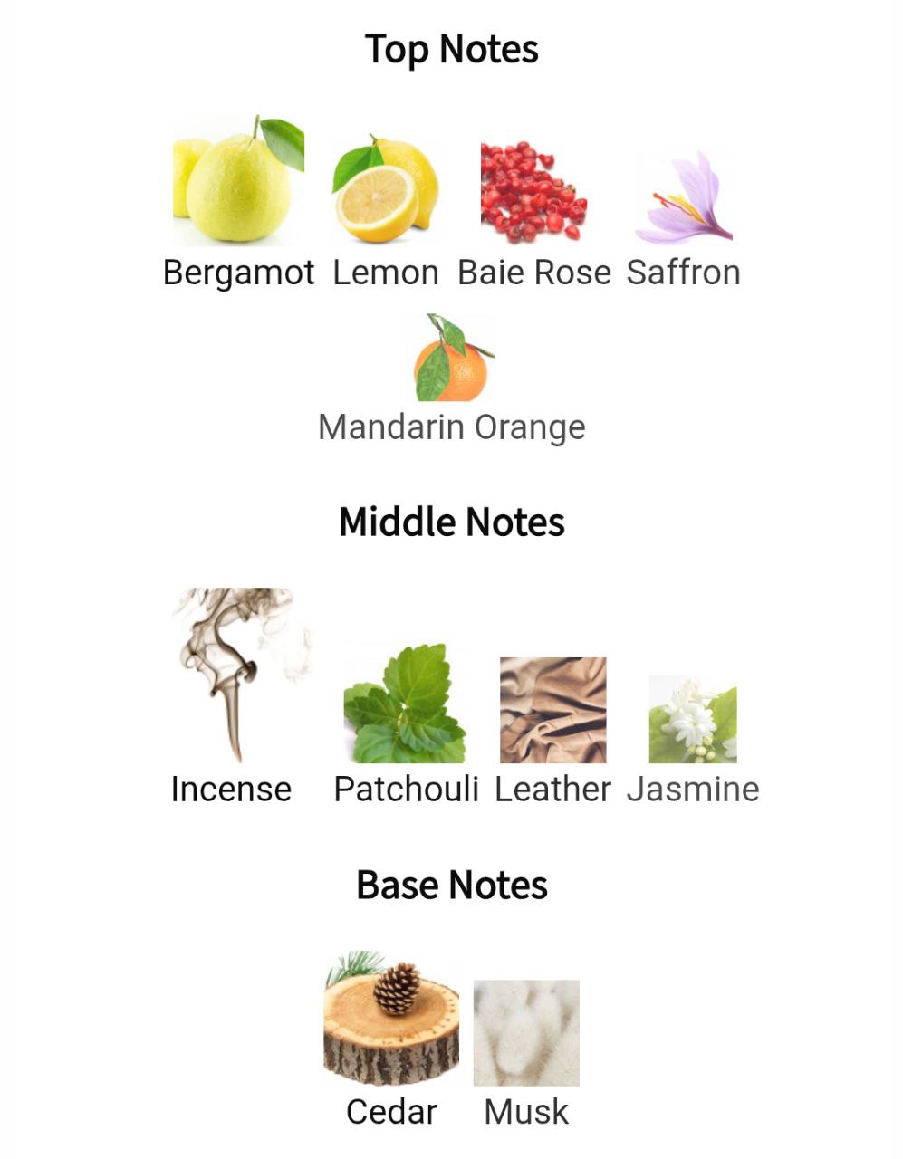 Laverne BLUE LAVERNE