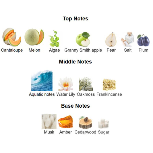 Armaf ODYSSEY BAHAMAS