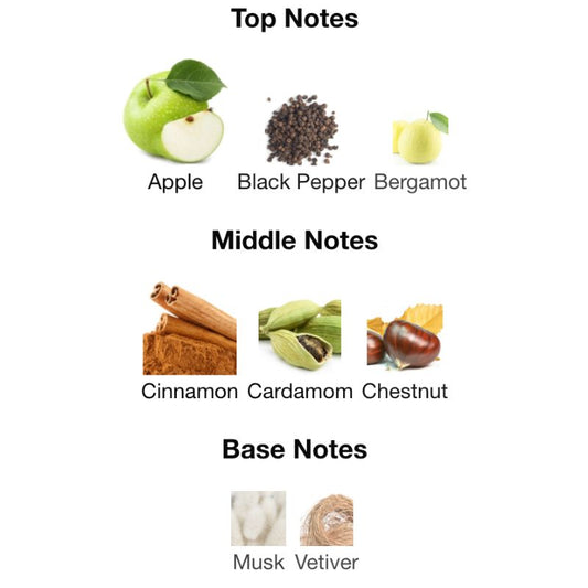 Hugo BOSS BOTTLED EDP