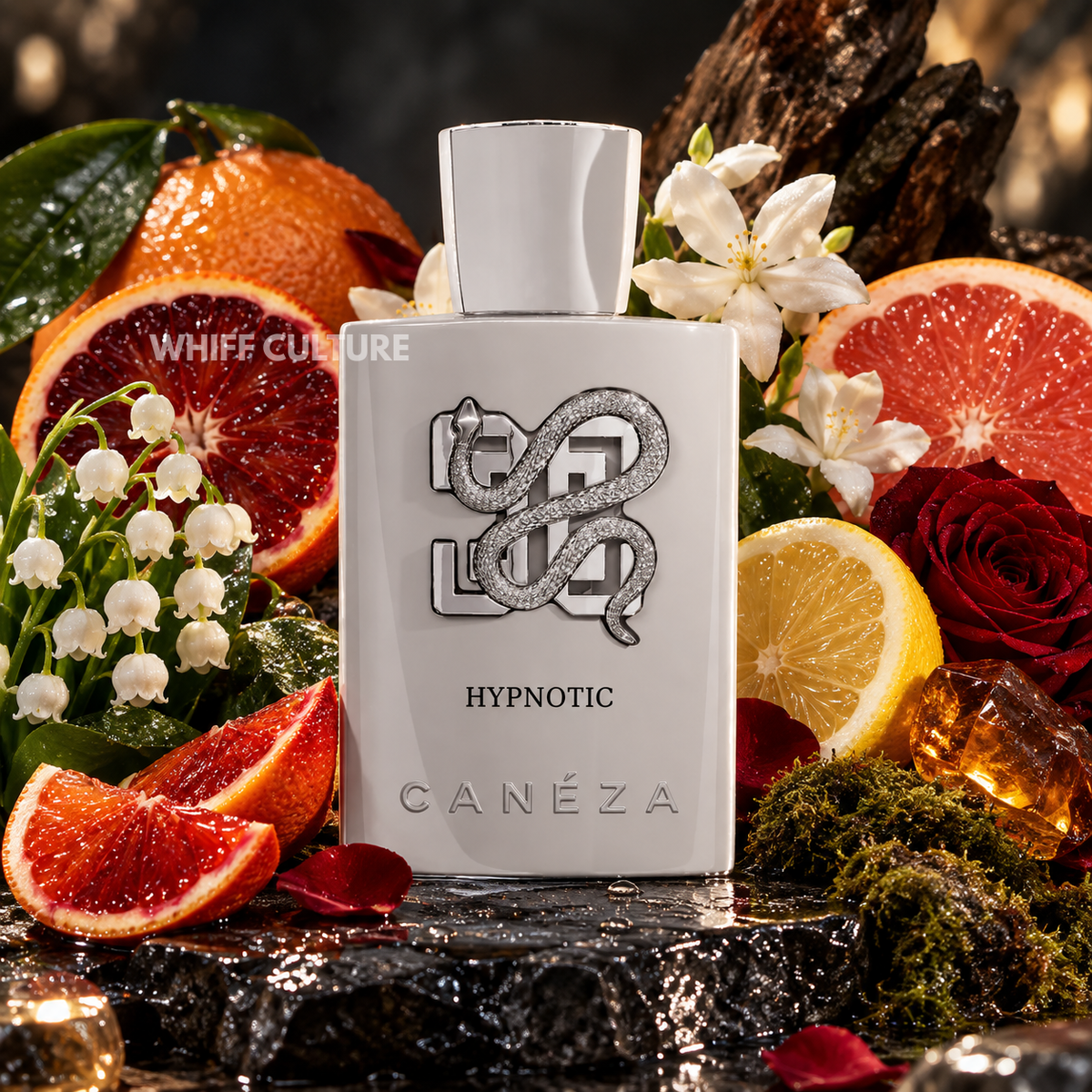 Caneza Hypnotic Eau de Parfum unisex – blood orange, jasmine and rose fragrance