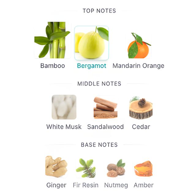 MontBlanc STARWALKER