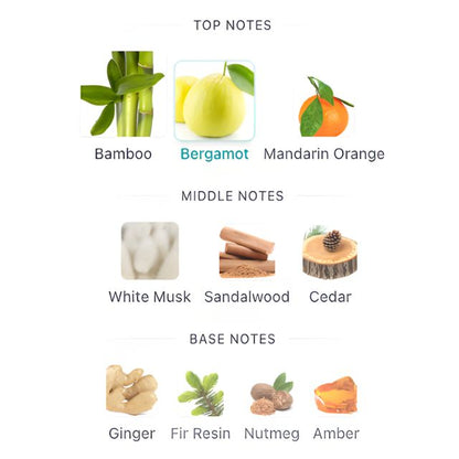 MontBlanc STARWALKER