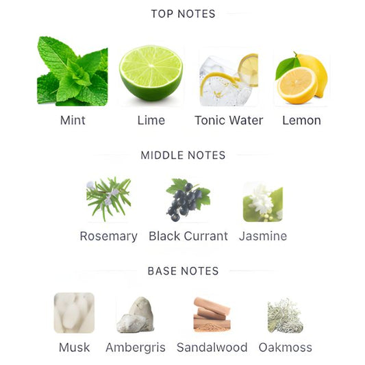 Fragrance World PLATINE BLANC AROMATIX