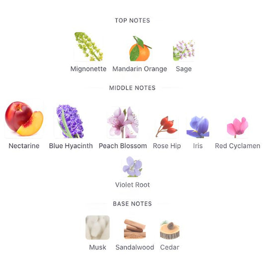 Burberry WEEKEND EDP (Women)