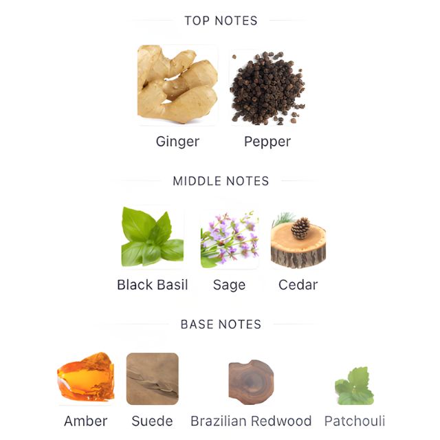 Calvin Klein EUPHORIA EDT (Men)