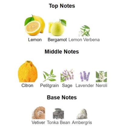 Paris Corner EMIR ULTRA CITRUS