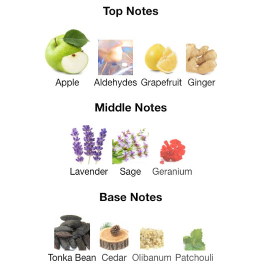 Fragrance World F LE PARFUM