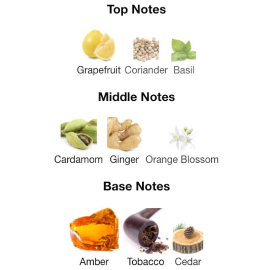 Paris Corner DREAM CATCHER