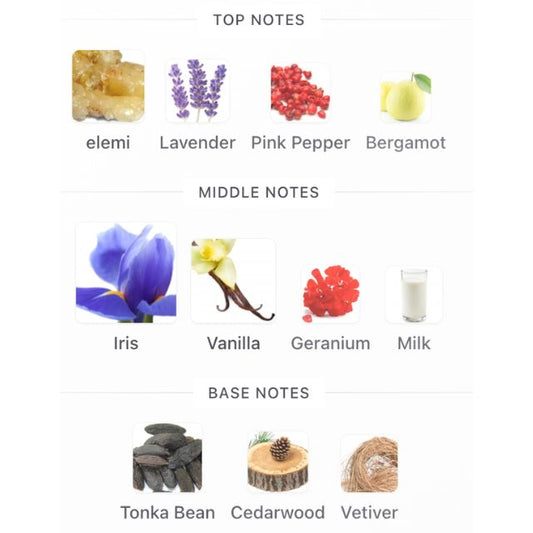 French Avenue THUNDER EXTRAIT EDP