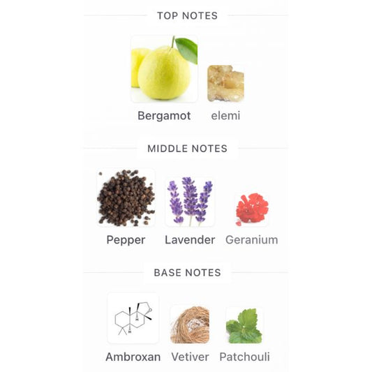 French Avenue ZENITH BLUE EDP