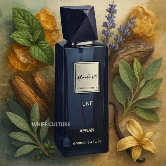 Afnan MODEST UNE Partial
