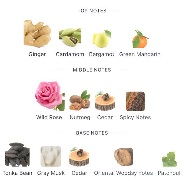 Burberry BRIT For Men EDT