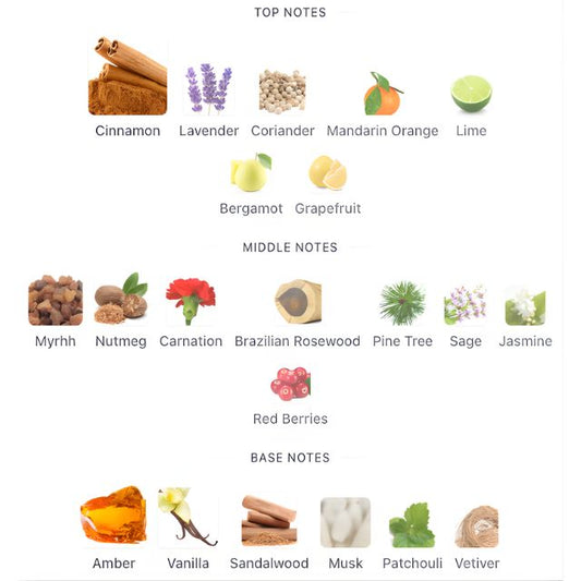 Calvin Klein OBSESSION MEN