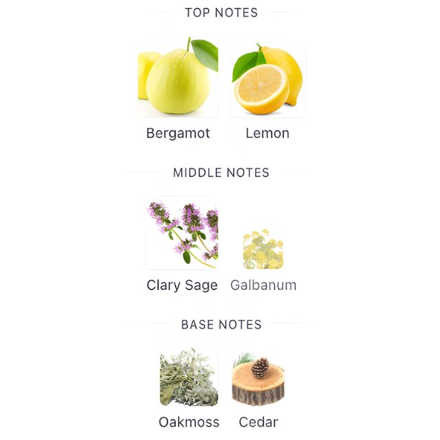 Davidoff CHAMPION EDT