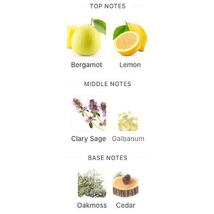 Davidoff CHAMPION EDT