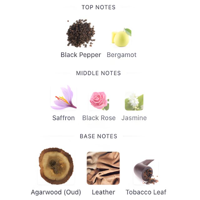 Dunhill ICON ABSOLUTE