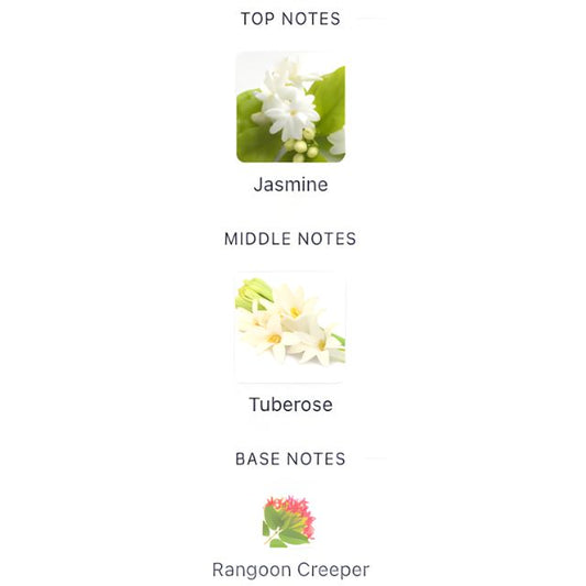 Gucci BLOOM EDP Tester