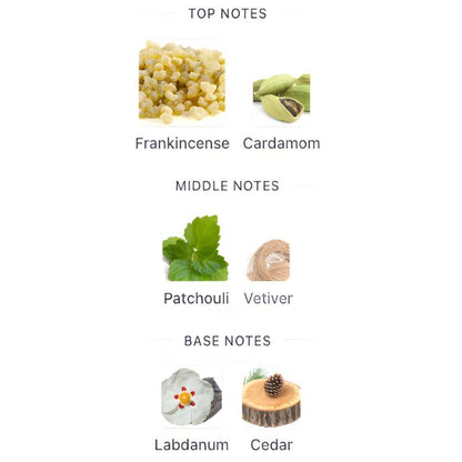 Hugo BOSS BOTTLED ELIXIR