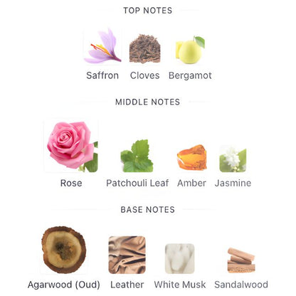 Mancera BLACK TO BLACK