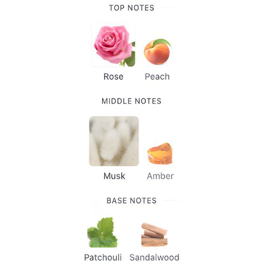 Narciso Rodriguez MUSC NOIR EDP Tester