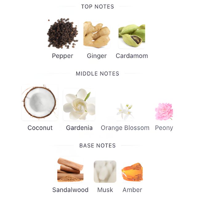 Versace CRYSTAL NOIR EDP