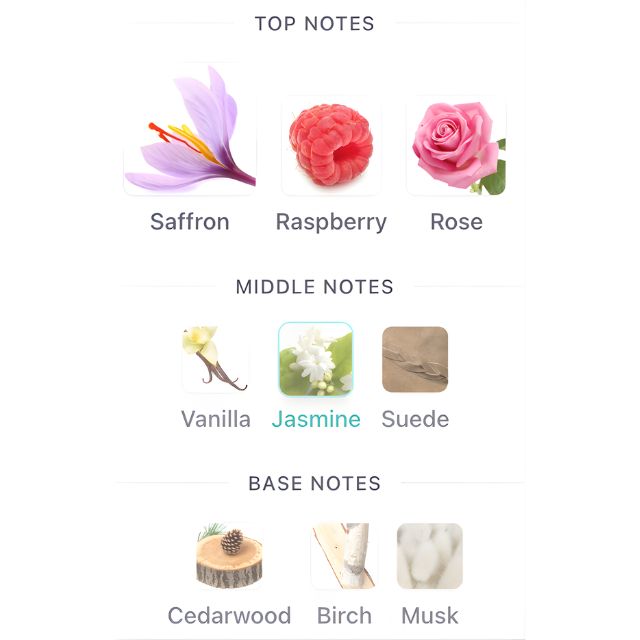 Ibraheem Al Qurashi BALAS ROSE