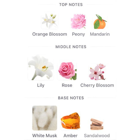 Ibraheem Al Qurashi PINK DIAMOND SAKURA