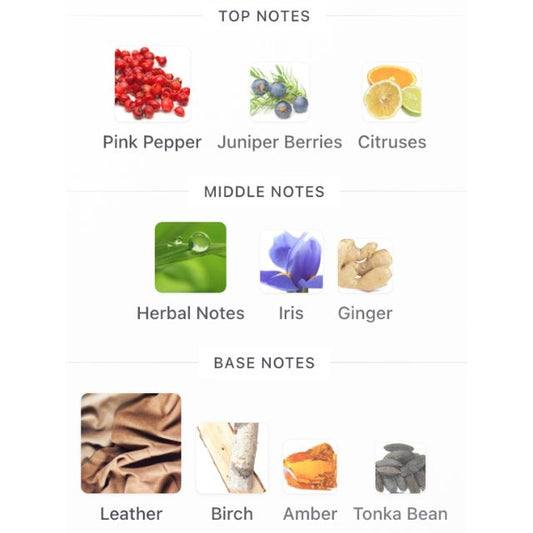 Ibraheem Al Qurashi SAPPHIRE LEATHER