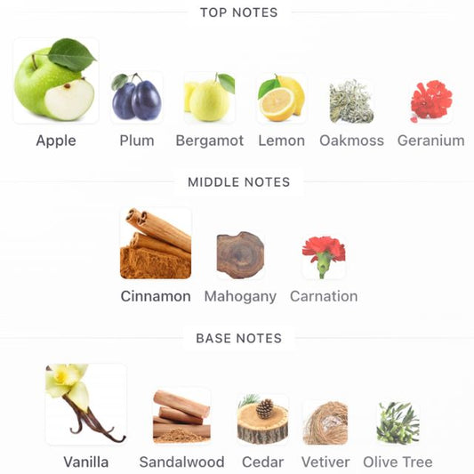 Hugo BOSS BOTTLED EDT