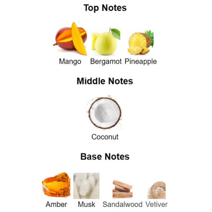 Rayhaan TROPICAL VIBE