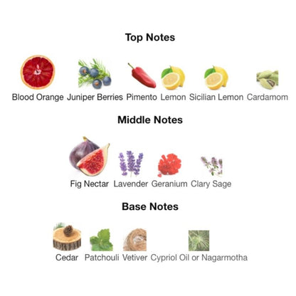 Dolce & Gabbana K EDP