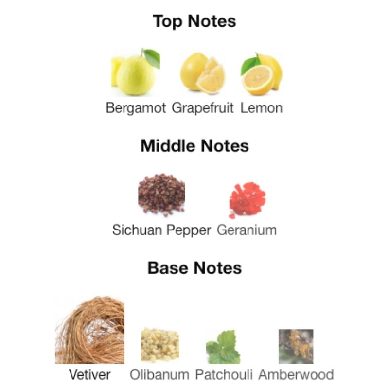 Terre D'Hermes EAU INTENSE VETIVER