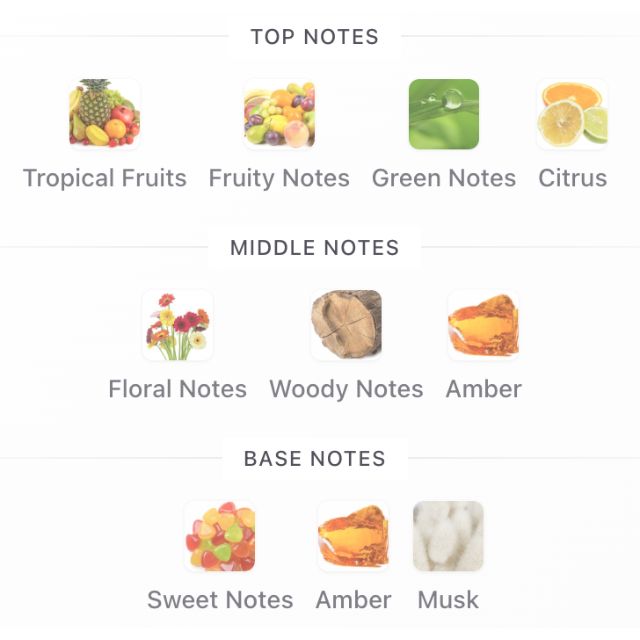 Arabiyat Prestige RAEES TWILIGHT AURA