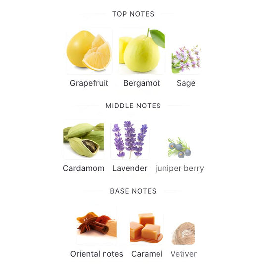 Afnan LYNKED FREEDOM