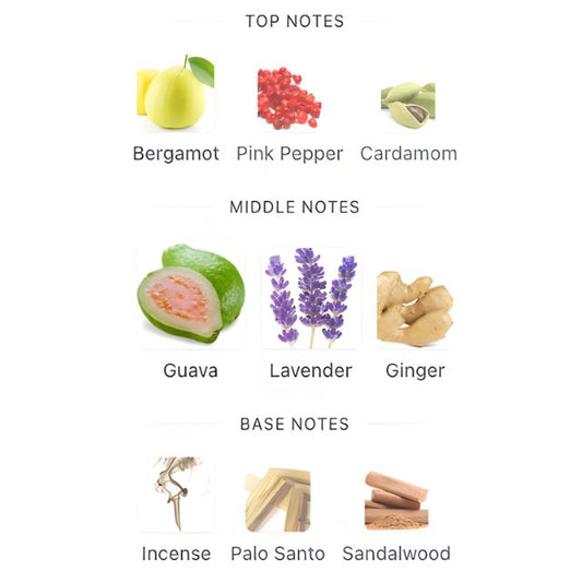 Lattafa FAKHAR PLATIN