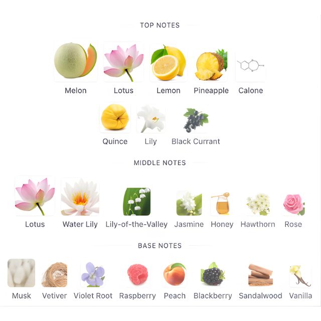 Davidoff COOLWATER EDT WOMEN