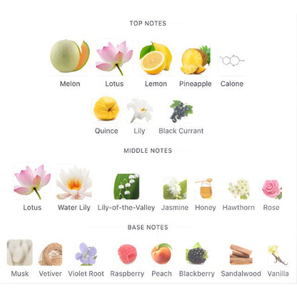 Davidoff COOLWATER EDT WOMEN