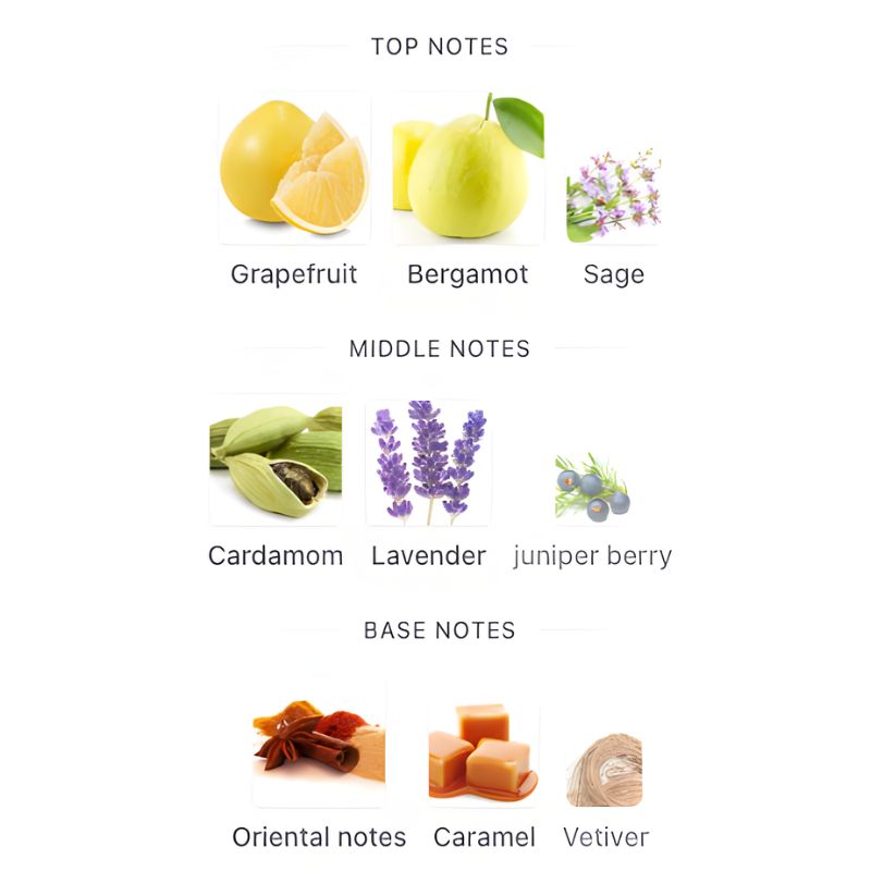 Afnan LYNKED FREEDOM Tester