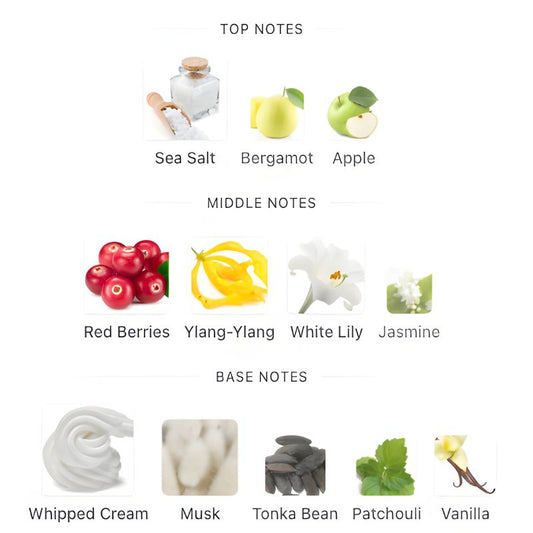 Armaf CLUB DE NUIT PRECIEUX IV