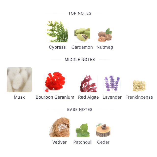 Narciso Rodriguez VETIVER MUSC EDT